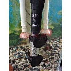 加熱棒海水哪款好？實拍評測助你選購優質魚缸加熱棒