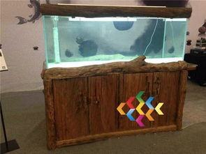 生態水族箱之美 七彩魚缸與配件全解析