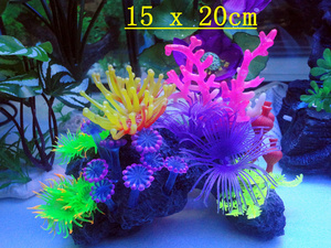 軟體珊瑚 寵物配件市場中的獨特選擇