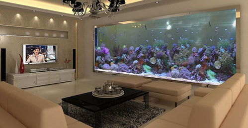 不同飾品與家居風水禁忌 寵物配件須知