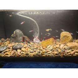 松寶魚缸增氧泵 選擇與使用指南