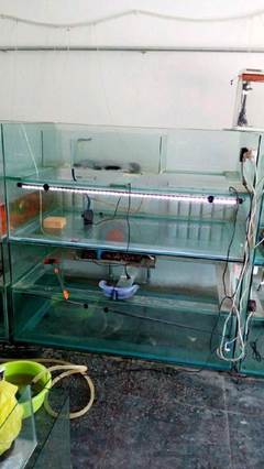 太原魚缸低價轉(zhuǎn)讓 1.5米長1米寬，寵物愛好者的不容錯過之選