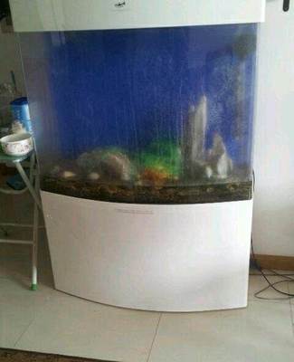 八成新熱帶魚魚缸轉(zhuǎn)讓，含配套小工具，適合新手入門