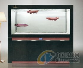 成都托田經(jīng)典水族用品廠 魚缸輔助用品及配件產(chǎn)品報價與供應(yīng)商優(yōu)勢解析
