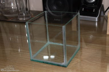 初探魚(yú)缸DIY 孔雀魚(yú)飼養(yǎng)必備用品分享