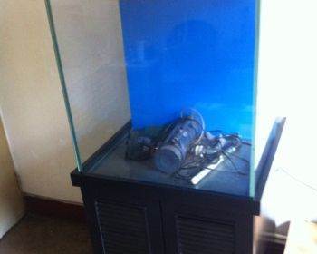 探索海水缸之美 天津600mm×600mm海水魚(yú)缸選購(gòu)指南